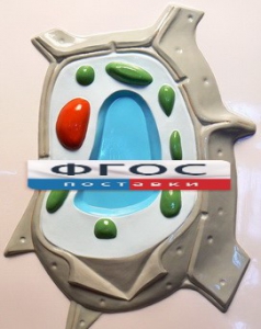 Модель барельефная "Растительная клетка" - fgospostavki.ru - Челябинск