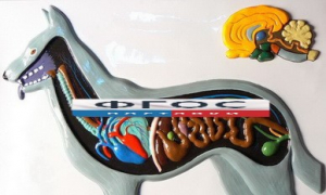 Модель барельефная "Внутреннее строение собаки" - fgospostavki.ru - Челябинск