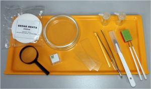 Набор для препарирования по биологии - fgospostavki.ru - Челябинск