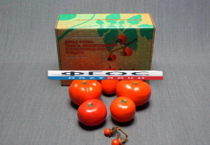 Набор муляжей "Дикая форма и культурные сорта томатов" - fgospostavki.ru - Челябинск