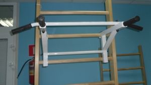 Тренажер турник-брусья навесной на шведскую стенку 1000х600х300 мм - fgospostavki.ru - Челябинск