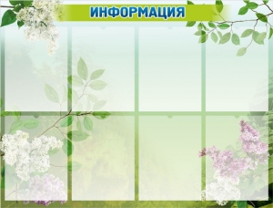 Стенд "Информация" Вариант 13 - fgospostavki.ru - Челябинск
