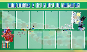 Стенд "Подготовка к ЕГЭ и ОГЭ по биологии" Вариант 2 - fgospostavki.ru - Челябинск