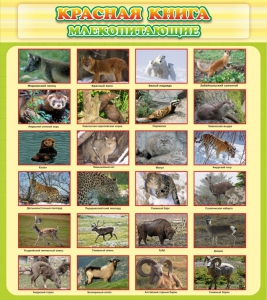 Стенд "Красная книга - млекопитающие" - fgospostavki.ru - Челябинск