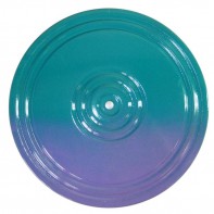 Диск здоровья (многоцветный) - fgospostavki.ru - Челябинск