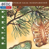 Ботаника. Микрофотографии. (Цифровая база изображений) - fgospostavki.ru - Челябинск