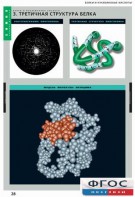 Комплект таблиц. Химия. Белки и нуклеиновые кислоты. - fgospostavki.ru - Челябинск