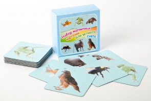 Набор магнитных карточек "Устный счет" (фон голубой) - fgospostavki.ru - Челябинск