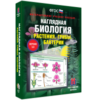 Наглядная биология. 6 класс. Растения. Грибы. Бактерии - fgospostavki.ru - Челябинск