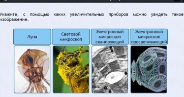Интерактивные курсы. Биология 5 класс. Расширенный - fgospostavki.ru - Челябинск