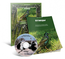 Электронное наглядное пособие «Птицы» - fgospostavki.ru - Челябинск