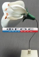 Модель "Цветок гороха" - fgospostavki.ru - Челябинск