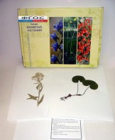 Гербарий "Ядовитые растения" (20 видов) - fgospostavki.ru - Челябинск