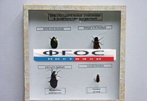 Коллекция энтомологическая "Приспособительные изменения в конечностях насекомых" - fgospostavki.ru - Челябинск