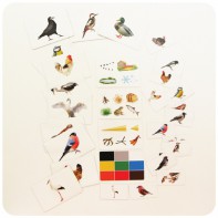 Набор магнитных карточек "Загадки-отрицания". Птицы - fgospostavki.ru - Челябинск