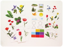 Набор магнитных карточек "Загадки-отрицания". Цветы - fgospostavki.ru - Челябинск