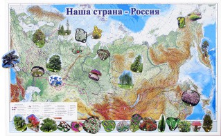 Магнитные карточки "Растения" - fgospostavki.ru - Челябинск