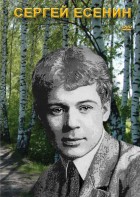DVD "Сергей Есенин" - fgospostavki.ru - Челябинск