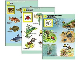 Комплект таблиц "Окружающий мир. Животный мир" (8 таблиц, А1, ламинированные) - fgospostavki.ru - Челябинск