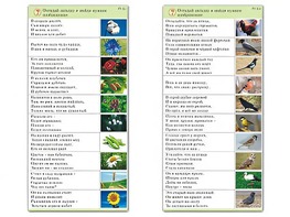 Комплект карточек (10) "Обучающий калейдоскоп. Природа" - fgospostavki.ru - Челябинск