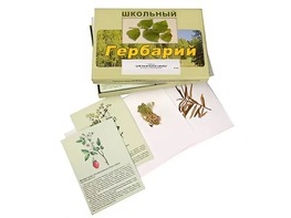 Гербарий "Для начальной школы" (30 видов, с иллюстрациями) - fgospostavki.ru - Челябинск