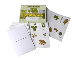 Гербарий "Морфология растений" (6 тем, 30 видов) - fgospostavki.ru - Челябинск