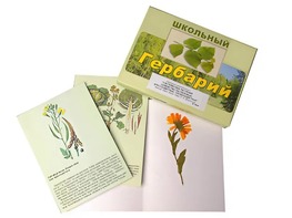 Гербарий "Систематика растений. Семейство Пасленовые. Крестоцветные. Сложноцветные" (раздаточный) - fgospostavki.ru - Челябинск