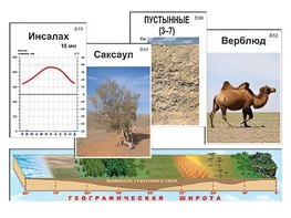 Модель-аппликация "Природные зоны" - fgospostavki.ru - Челябинск