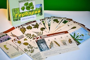 Гербарий к курсу основ общей биологии - fgospostavki.ru - Челябинск