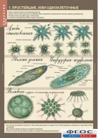 Комплект таблиц. Биология 7 класс. Животные. - fgospostavki.ru - Челябинск