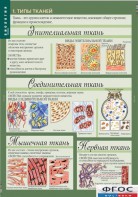 Комплект таблиц. Биология 8-9 класс. Человек. - fgospostavki.ru - Челябинск