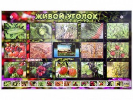 Комплект оборудования "Живой уголок" (растения) с тифлопереводом и сурдокомментариями - fgospostavki.ru - Челябинск