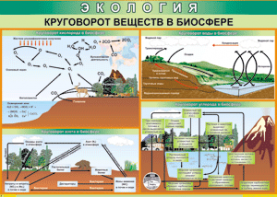 Таблица "Круговорот веществ в биосфере" (100х140 сантиметров, винил) - fgospostavki.ru - Челябинск