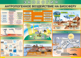 Таблица "Антропогенное воздействие на биосферу" (100х140 сантиметров, винил) - fgospostavki.ru - Челябинск