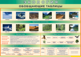 Таблица "Экология. Обобщающие таблицы" (100х140 сантиметров, винил) - fgospostavki.ru - Челябинск