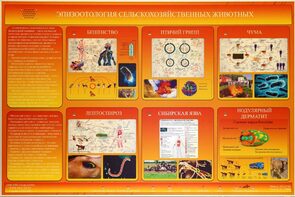 Электрифицированный стенд «Эпизоотология сельскохозяйственных животных» - fgospostavki.ru - Челябинск