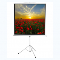 Экран на штативе DSKD-1105  - fgospostavki.ru - Челябинск