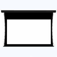 Экран настенный с электроприводом DSTPX-16916 - fgospostavki.ru - Челябинск
