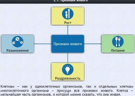 Интерактивные курсы. Биология 5 класс. Базовый - fgospostavki.ru - Челябинск