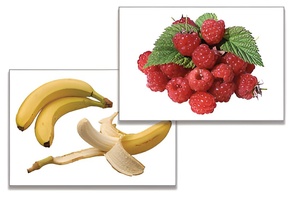 Дидактическое пособие "Фрукты, ягоды, орехи" (24 карточки) - fgospostavki.ru - Челябинск