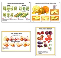 Плакаты ПРОФТЕХ "Ассортимент овощных культур" (12 пл, винил, 70х100) - fgospostavki.ru - Челябинск
