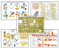 Плакаты ПРОФТЕХ "Сырье и материалы хлебопекарного производства" (20 пл, винил, 70х100) - fgospostavki.ru - Челябинск