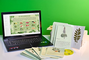 Гербарий натурально-интерактивный "Культурные растения" - fgospostavki.ru - Челябинск