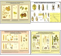 Плакаты ПРОФТЕХ "Вредители и болезни с/х культур и меры борьбы с ними" (11 пл, винил, 70х100) - fgospostavki.ru - Челябинск