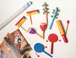 Комплект шумовых музыкальных инструментов - fgospostavki.ru - Челябинск