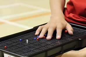 Сетка для игры тактильная (Бочча) - fgospostavki.ru - Челябинск