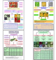 Плакаты ПРОФТЕХ "Классификация овощей" (11 пл, винил, 70х100) - fgospostavki.ru - Челябинск