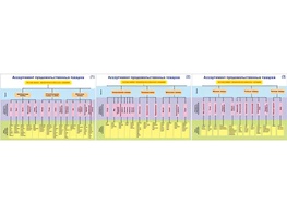 Плакаты ПРОФТЕХ "Ассортимент продовольственных товаров" (3 пл, винил, 70х100) - fgospostavki.ru - Челябинск