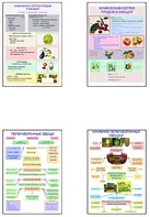 Плакаты ПРОФТЕХ "Классификация овощей и переработка" (8 пл, винил, 70х100) - fgospostavki.ru - Челябинск