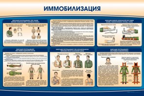 Стенд "Иммобилизация" - fgospostavki.ru - Челябинск